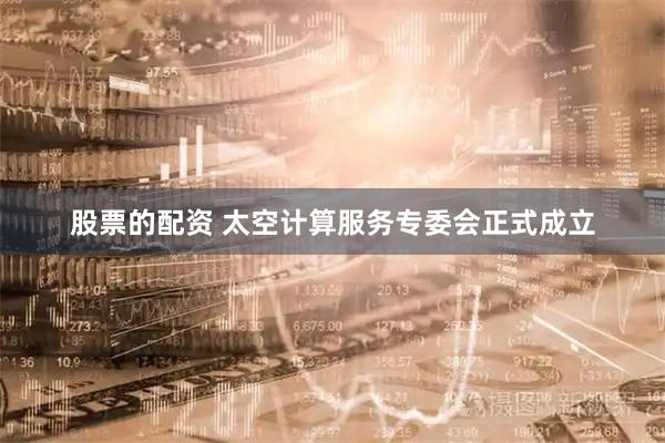 股票的配资 太空计算服务专委会正式成立