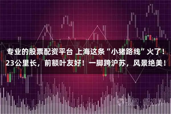 专业的股票配资平台 上海这条“小猪路线”火了！23公里长，前额叶友好！一脚跨沪苏，风景绝美！